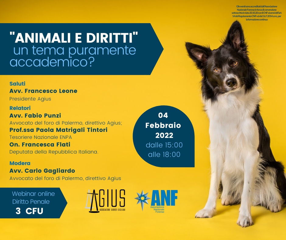 “ANIMALI E DIRITTI” un tema puramente accademico? 3 CFU